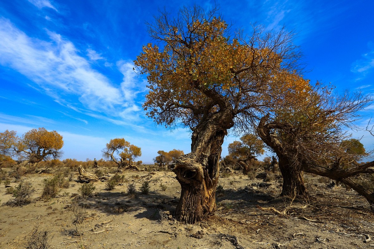我只是把出去看到的随手记录下来（十七）