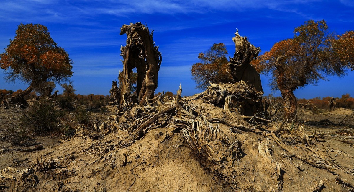 我只是把出去看到的随手记录下来（十七）