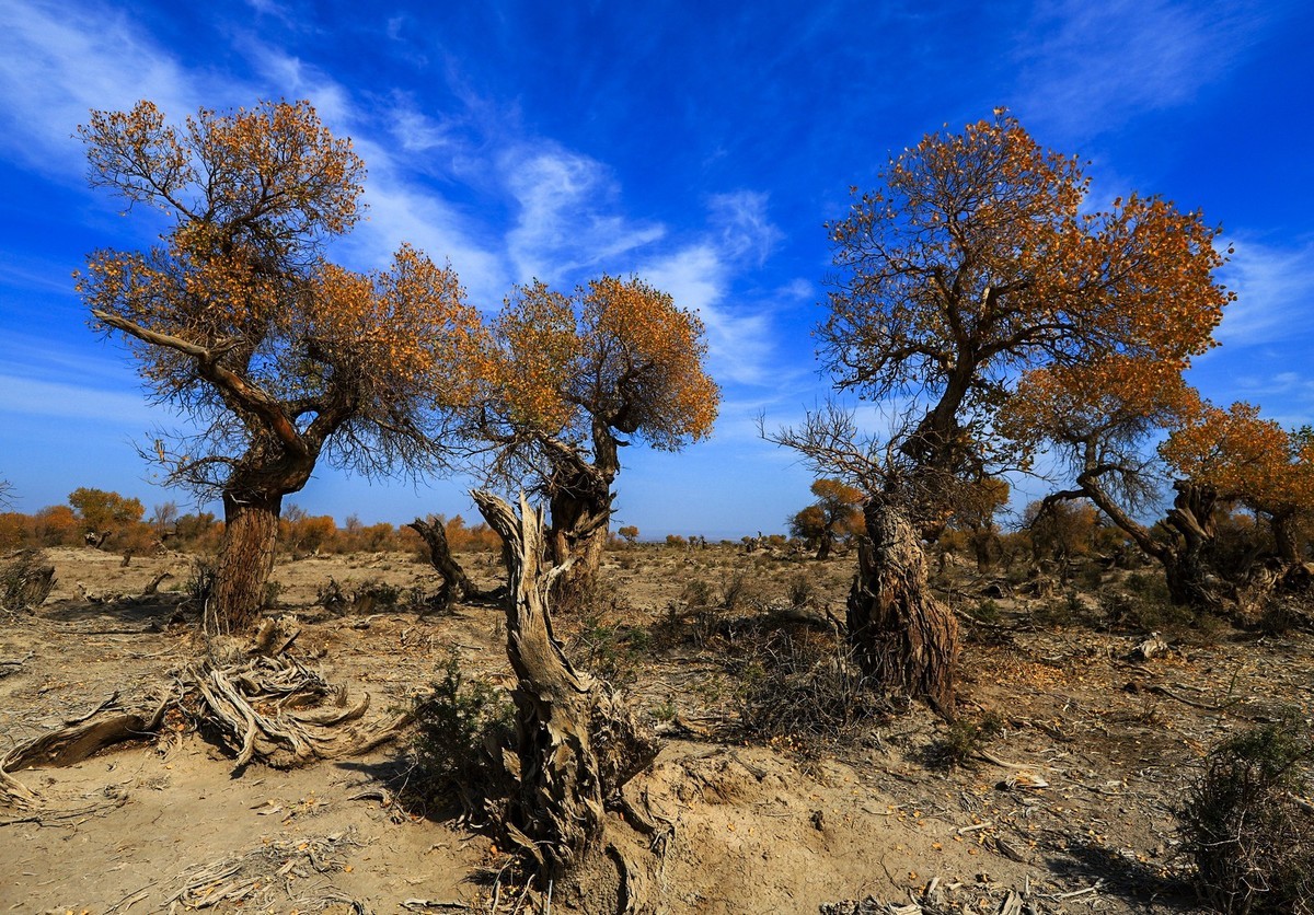 我只是把出去看到的随手记录下来（十七）