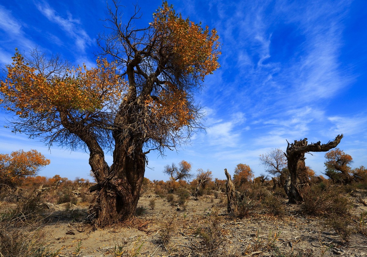 我只是把出去看到的随手记录下来（十七）