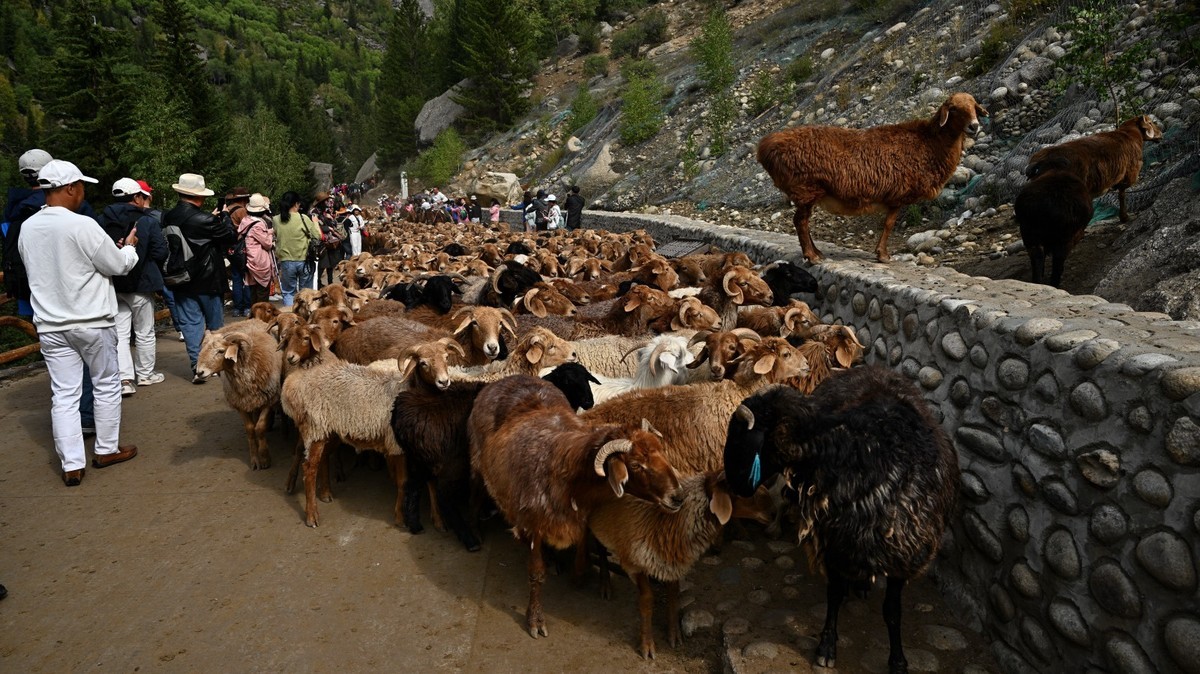 新疆游/富蕴县（45）