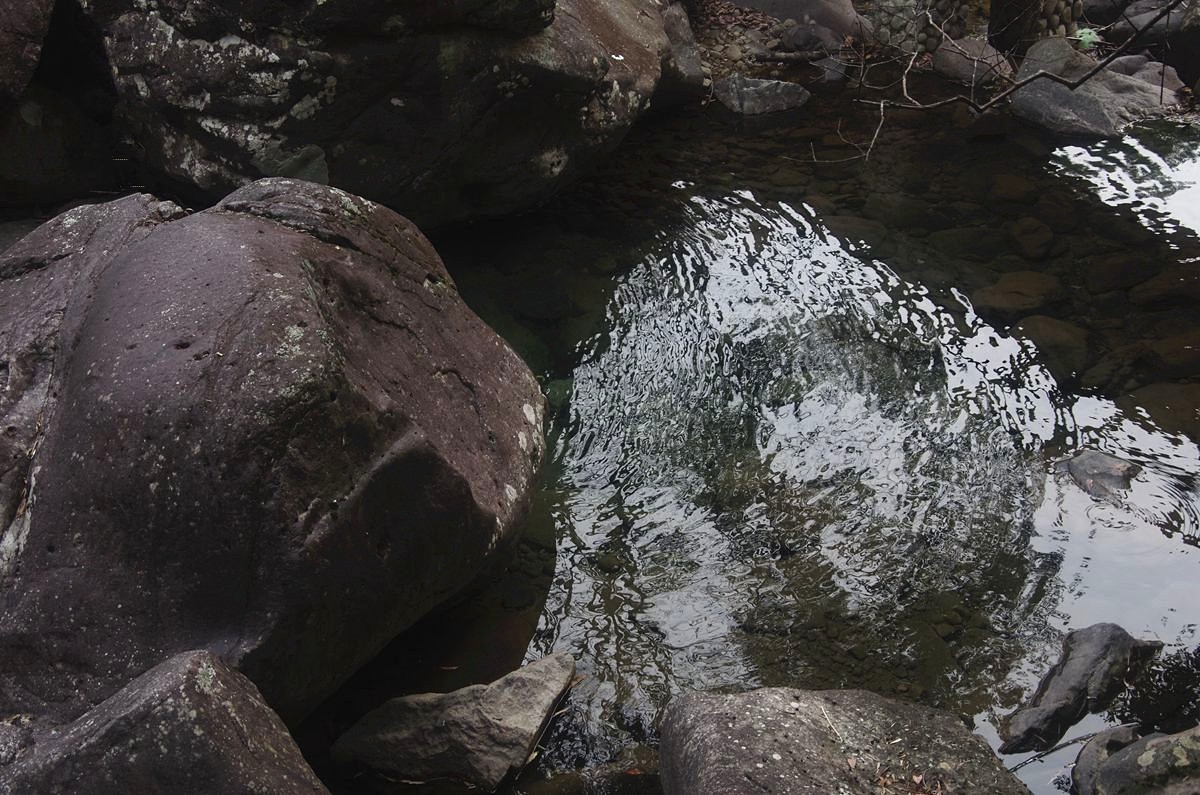 浙西梅树底景区游记-4