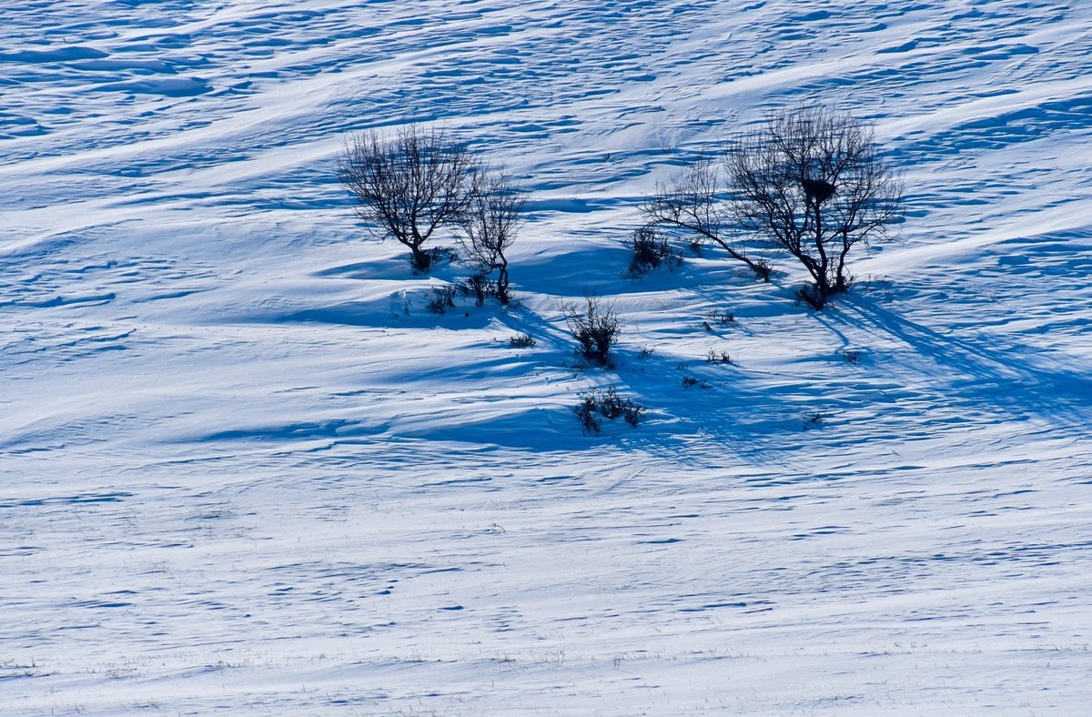 我只是把出去看到的随手记录下来（七十三）
