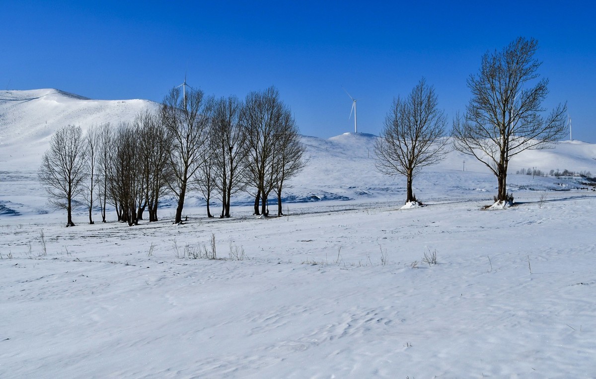 我只是把出去看到的随手记录下来（七十三）