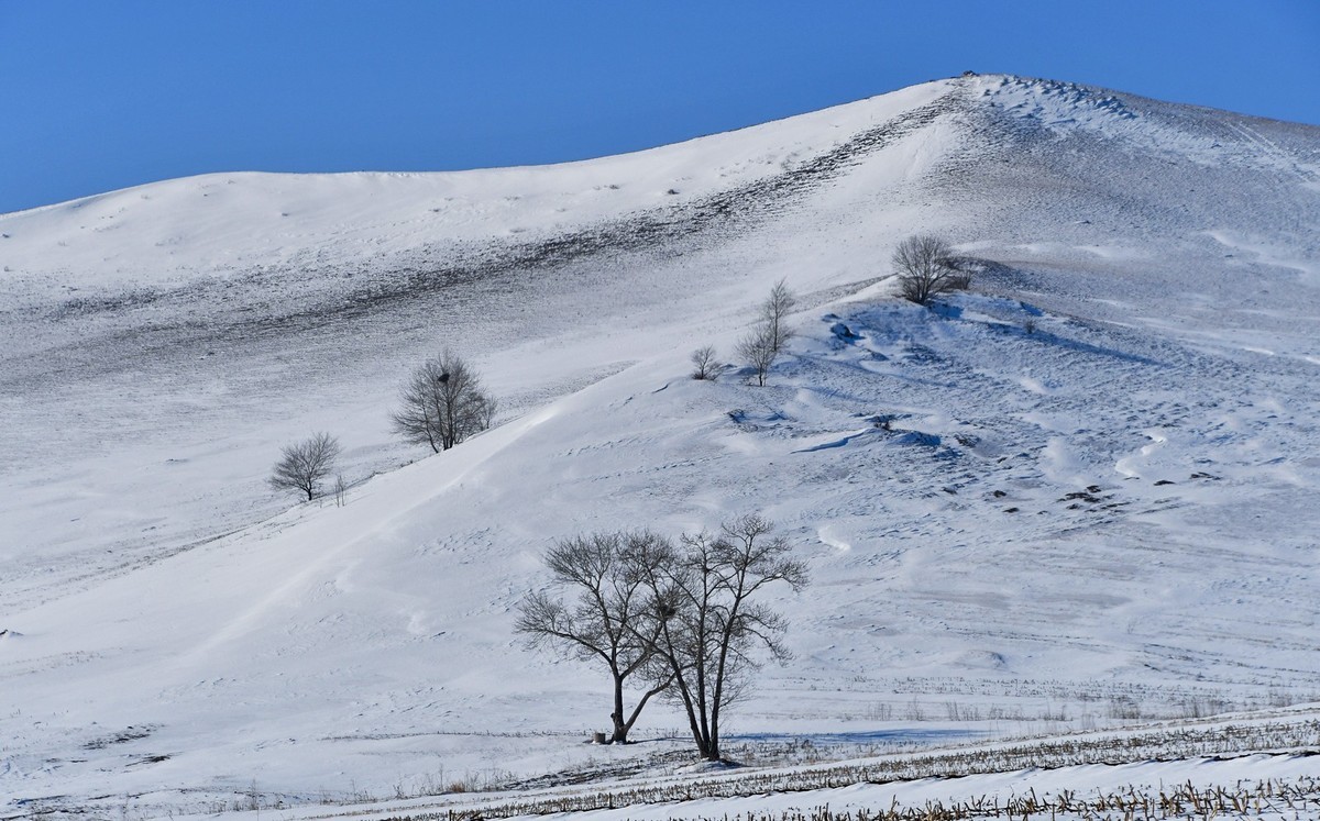 我只是把出去看到的随手记录下来（七十三）