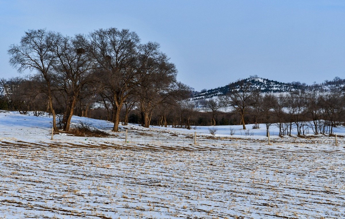 我只是把出去看到的随手记录下来（七十三）