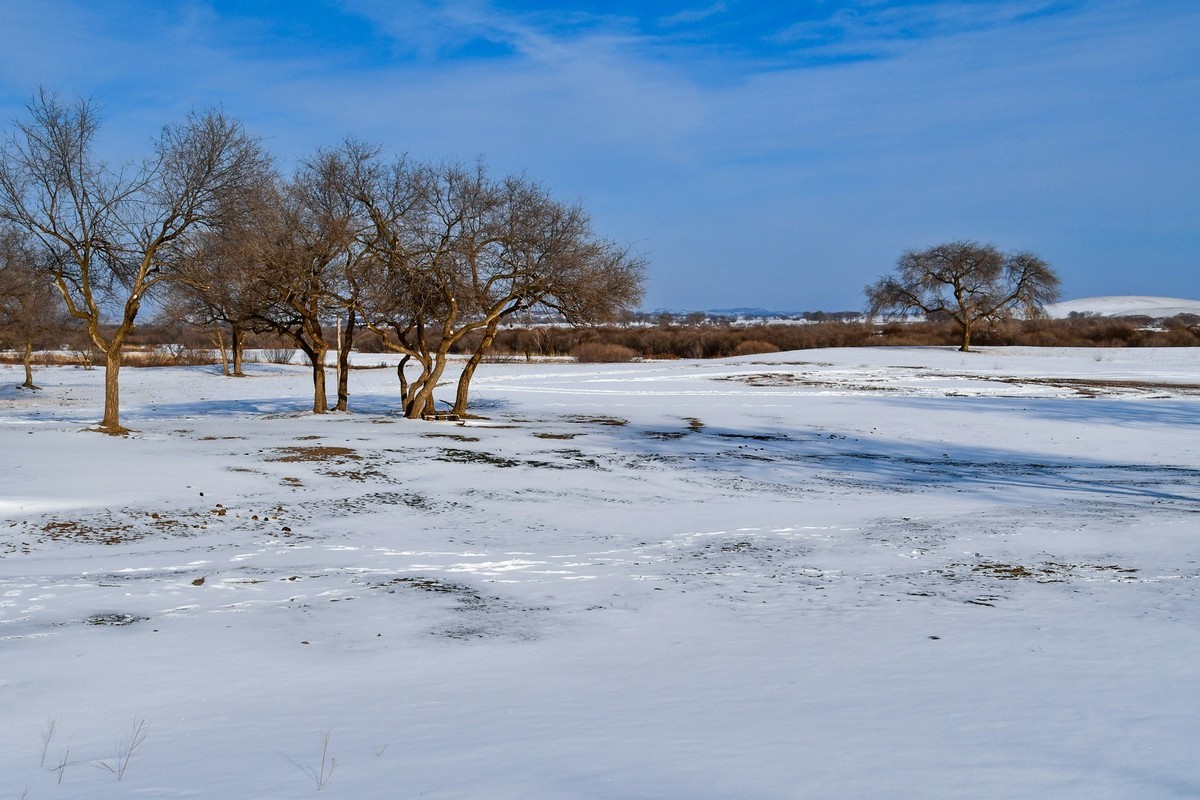 我只是把出去看到的随手记录下来（七十三）