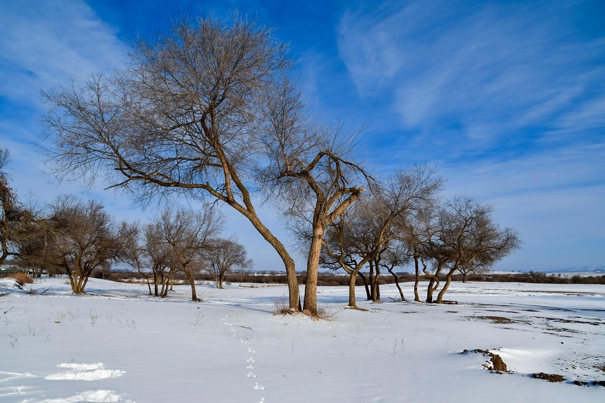 春节乌兰布统塞罕坝之行 及路上所见（一）