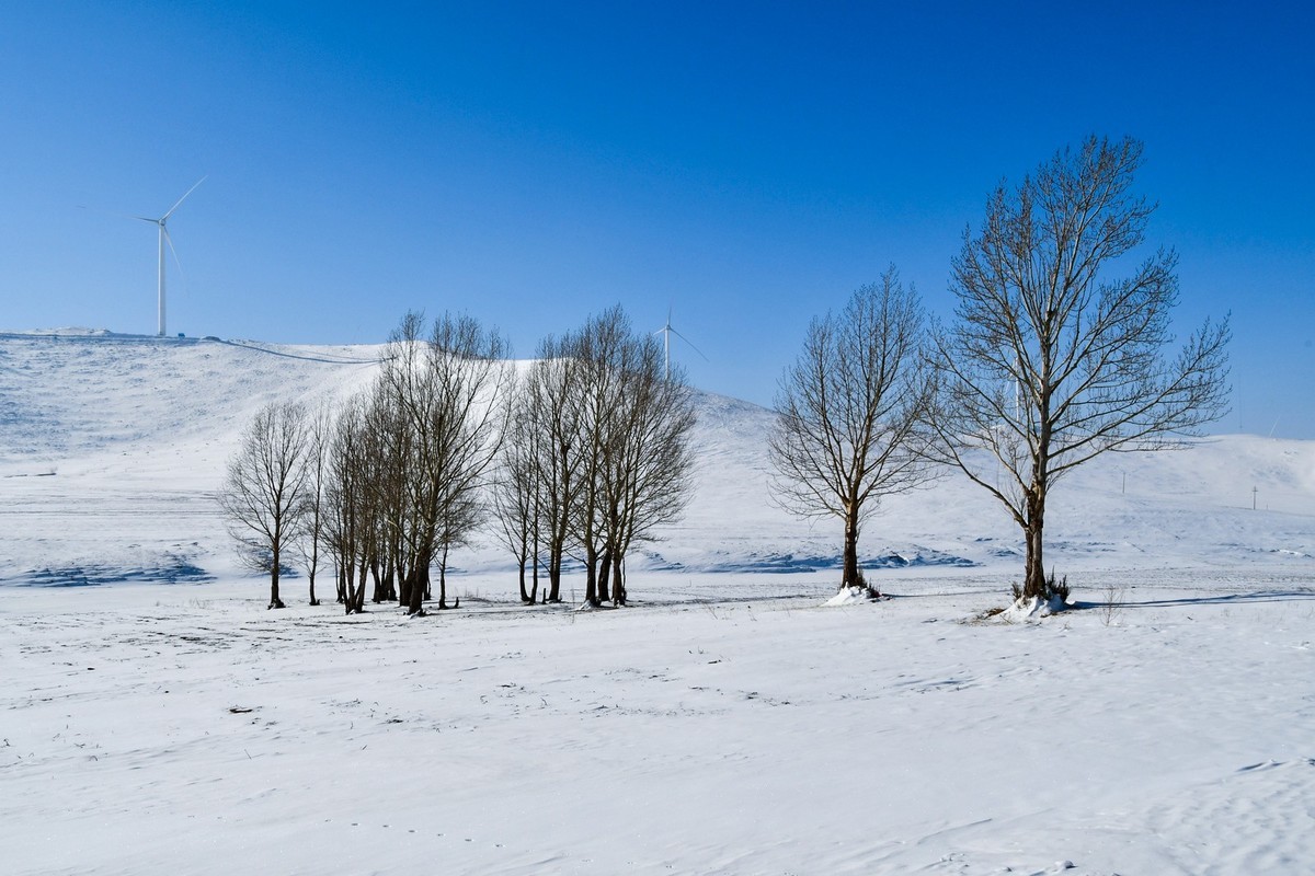 春节乌兰布统塞罕坝之行 及路上所见（一）
