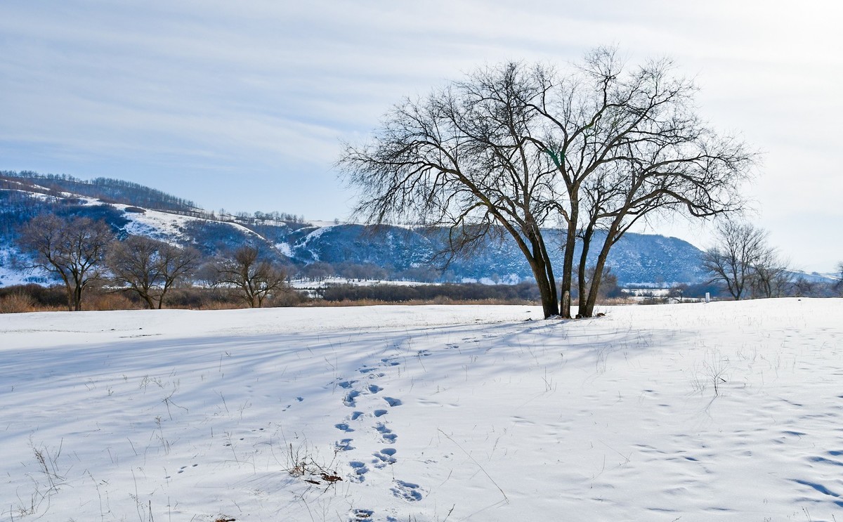 春节乌兰布统塞罕坝之行 及路上所见（一）