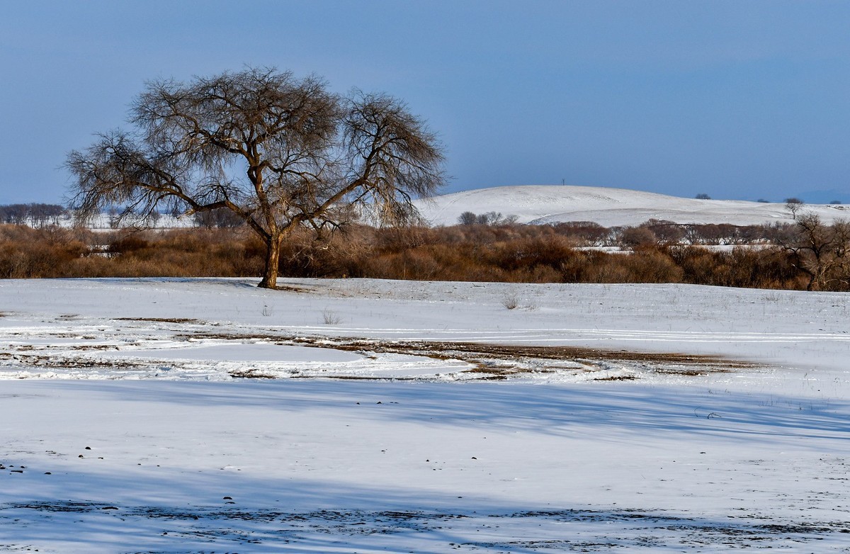 春节乌兰布统塞罕坝之行 及路上所见（一）