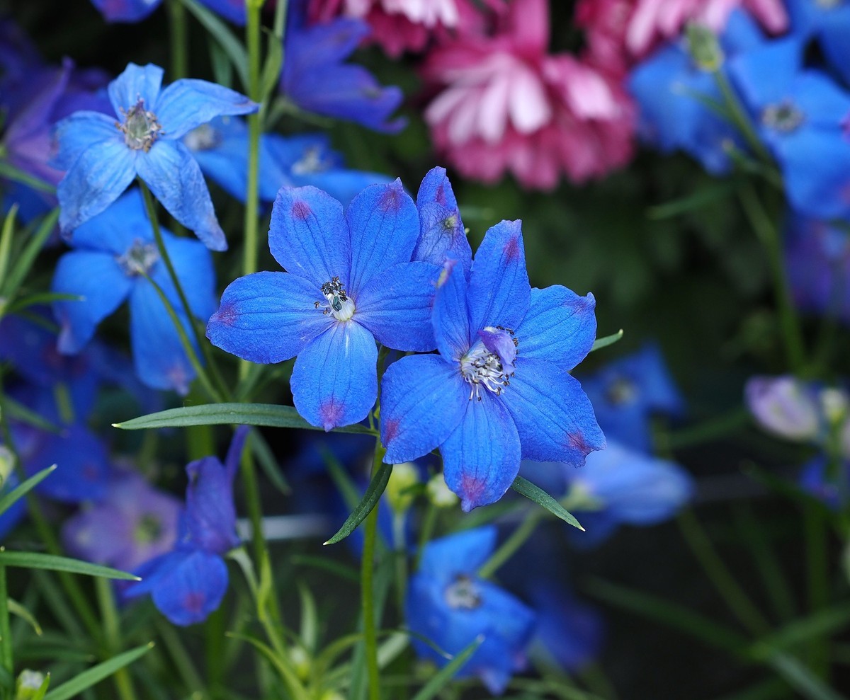 华南国家植物园