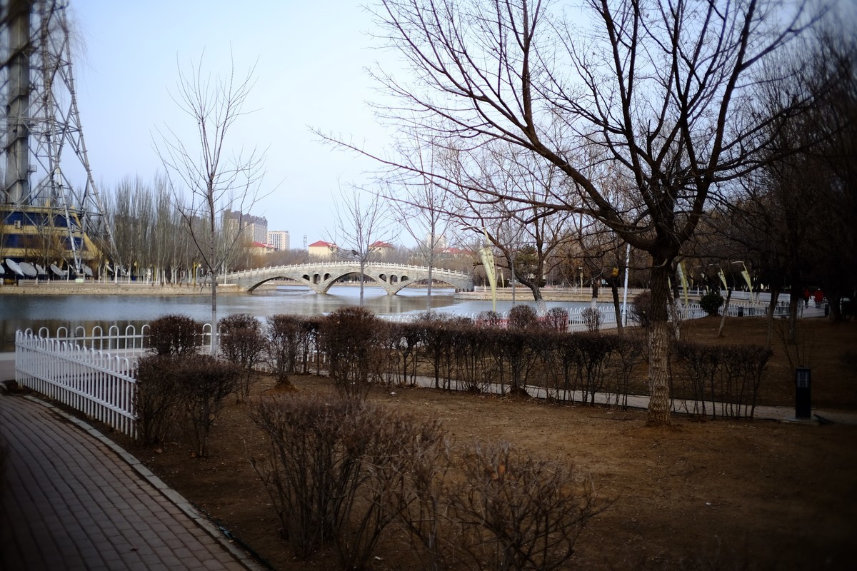 镜湖公园春色有些姗姗来迟