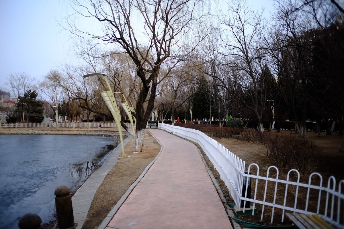 镜湖公园春色有些姗姗来迟