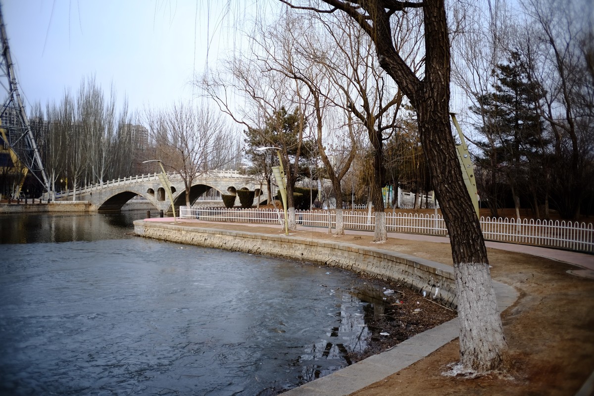 镜湖公园春色有些姗姗来迟