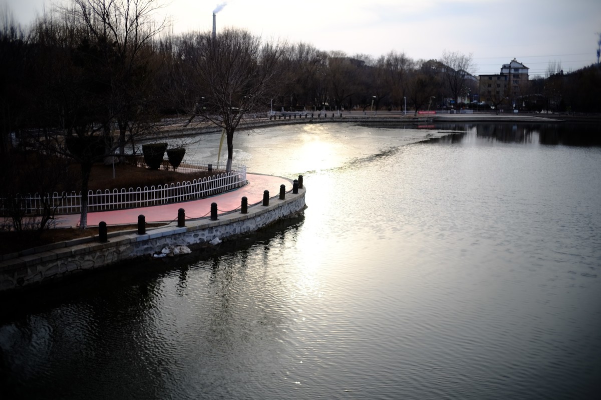 镜湖公园春色有些姗姗来迟