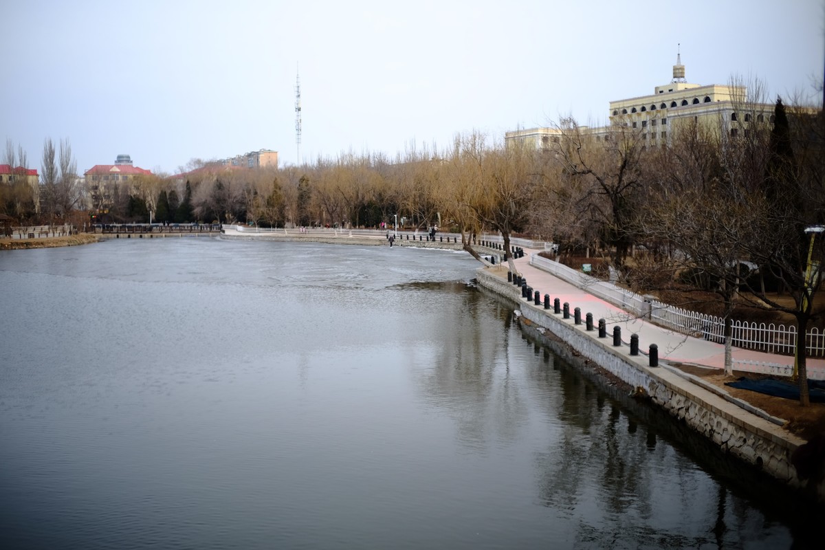 镜湖公园春色有些姗姗来迟