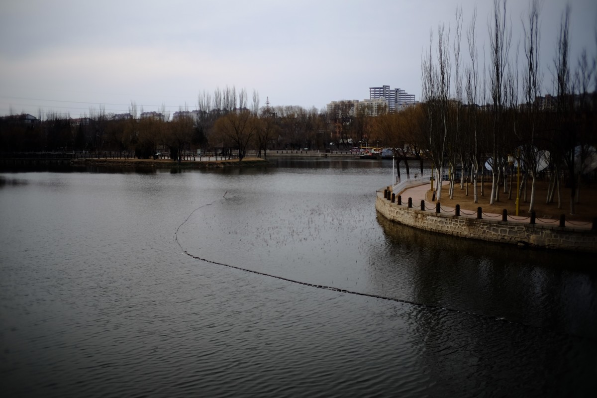 镜湖公园春色有些姗姗来迟