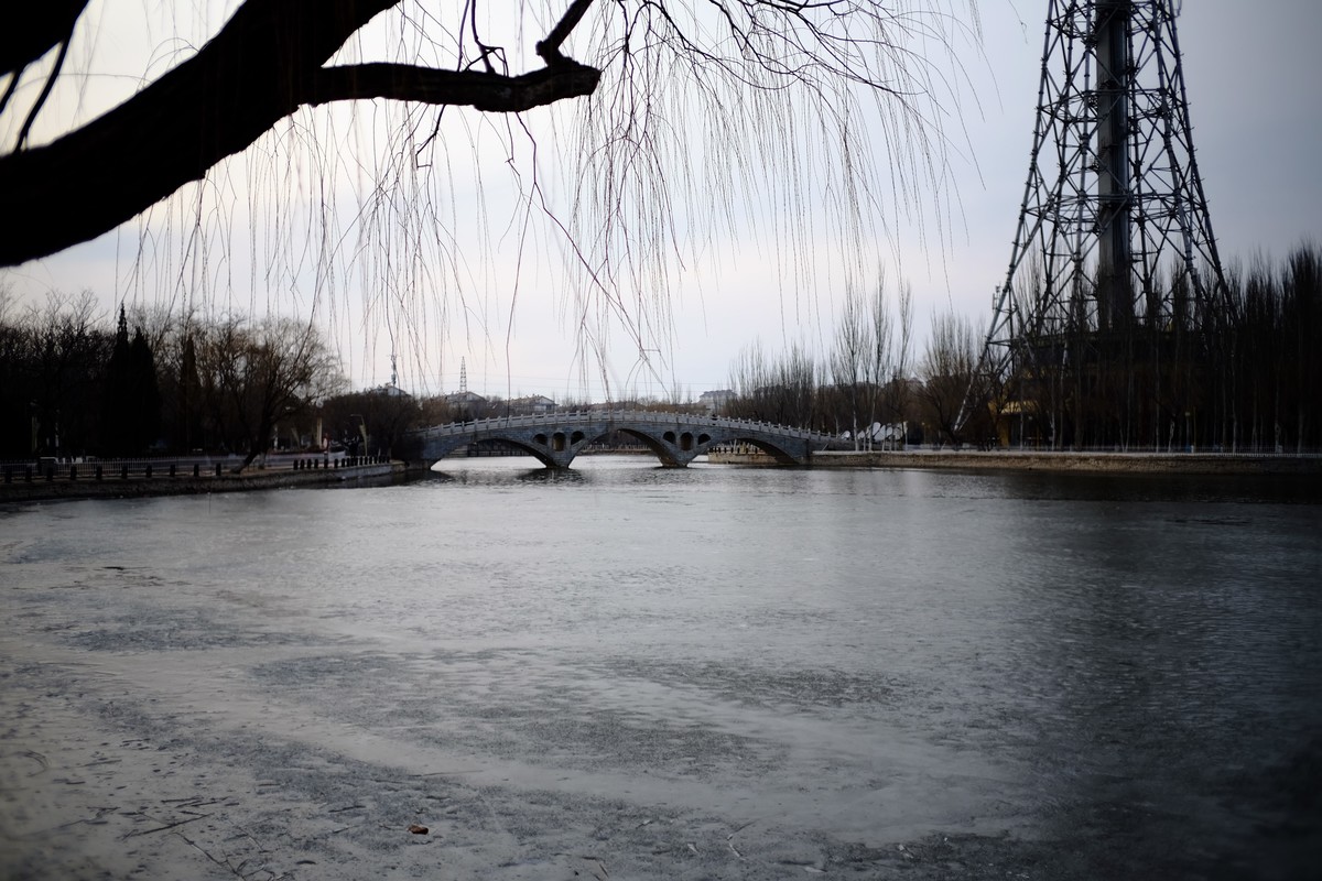 镜湖公园春色有些姗姗来迟