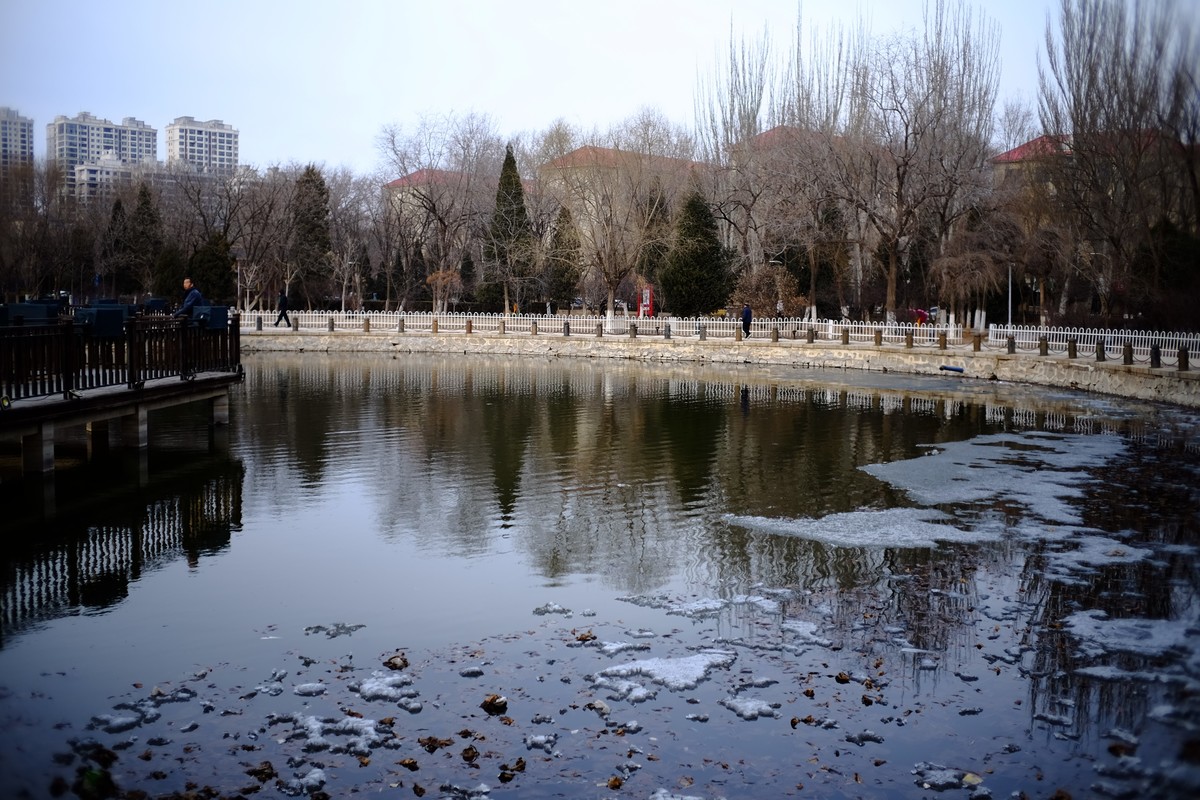 镜湖公园春色有些姗姗来迟