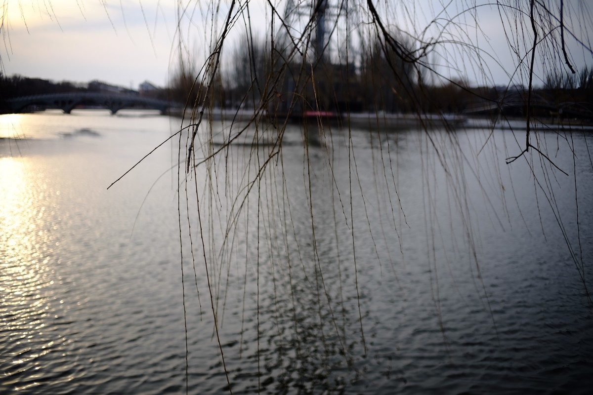 镜湖公园春色有些姗姗来迟