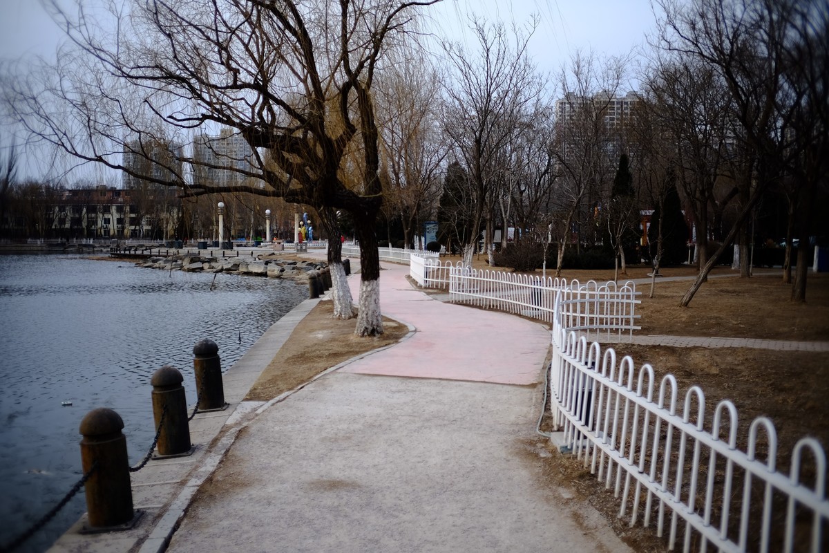 镜湖公园春色有些姗姗来迟