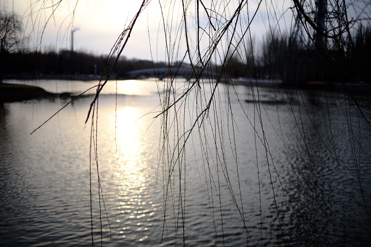 镜湖公园春色有些姗姗来迟
