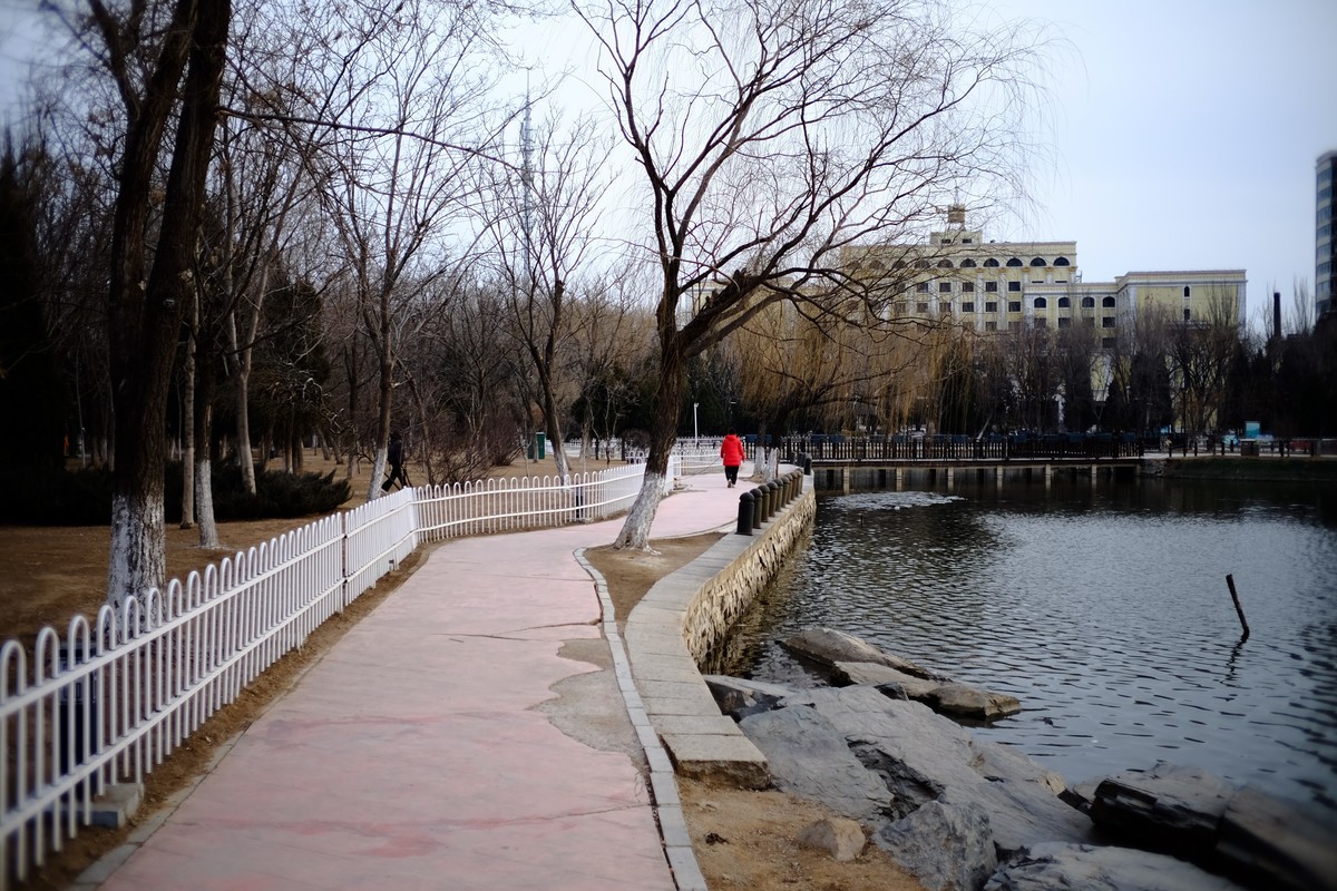 镜湖公园春色有些姗姗来迟