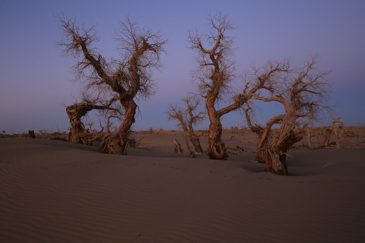 我只是把出去看到的随手记录下来（九十五）