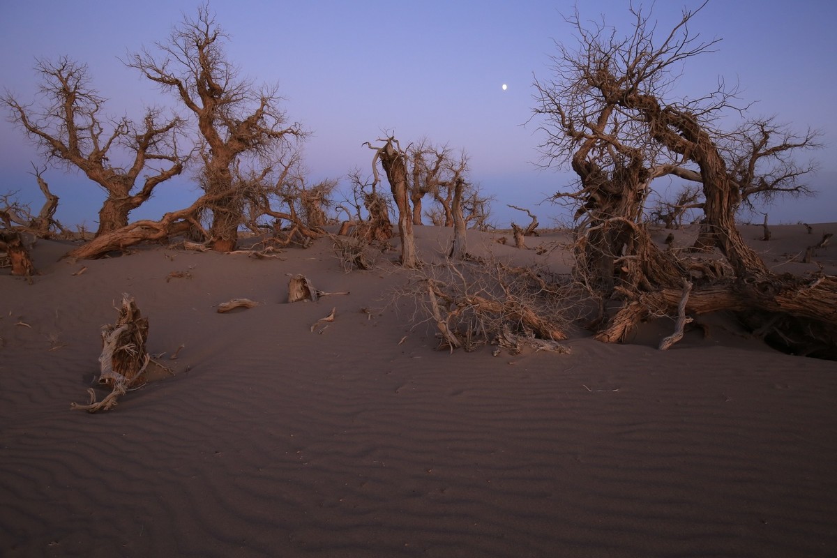 我只是把出去看到的随手记录下来（九十五）