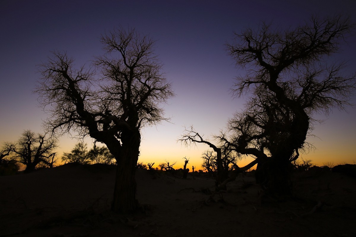 我只是把出去看到的随手记录下来（九十五）