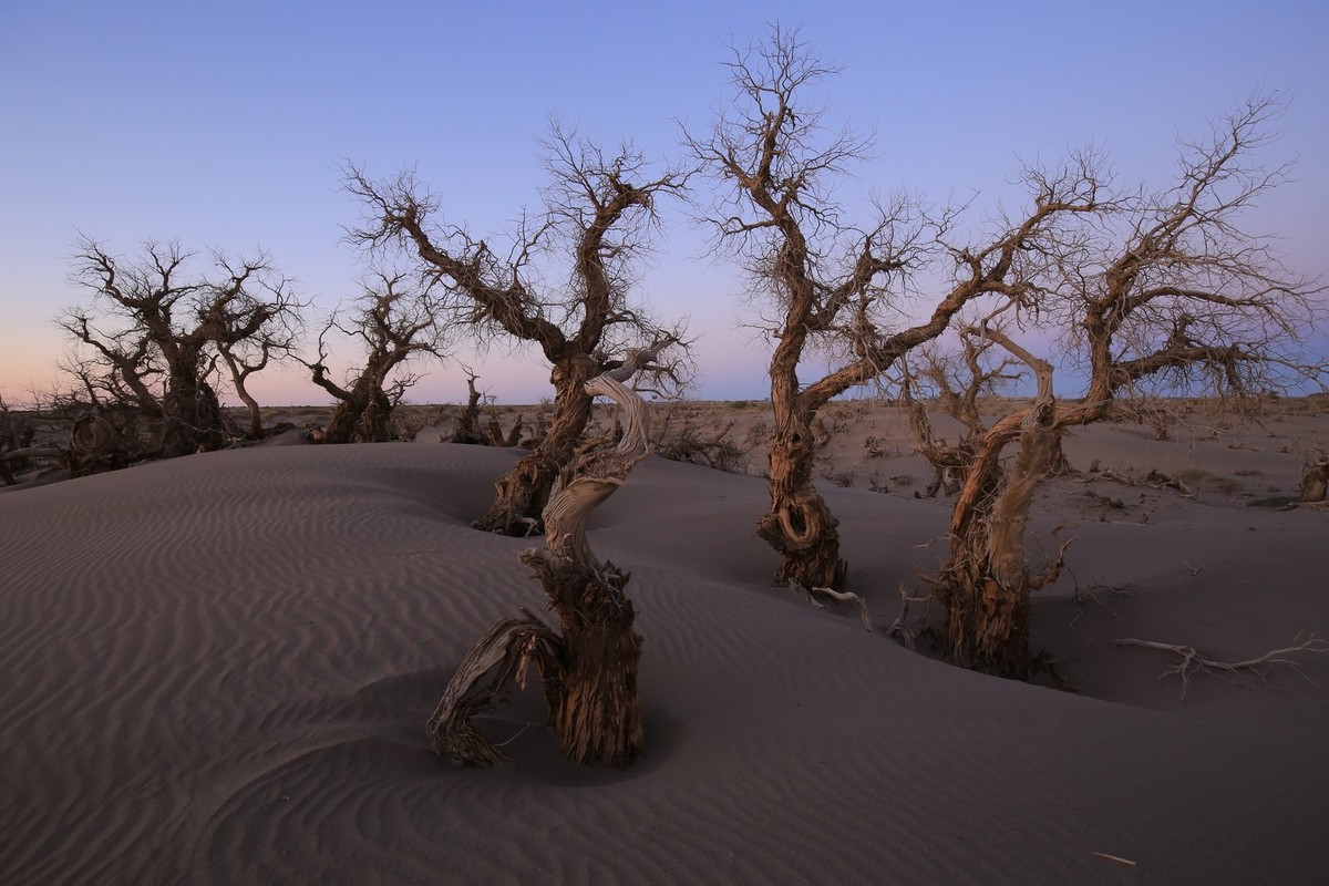 我只是把出去看到的随手记录下来（九十五）