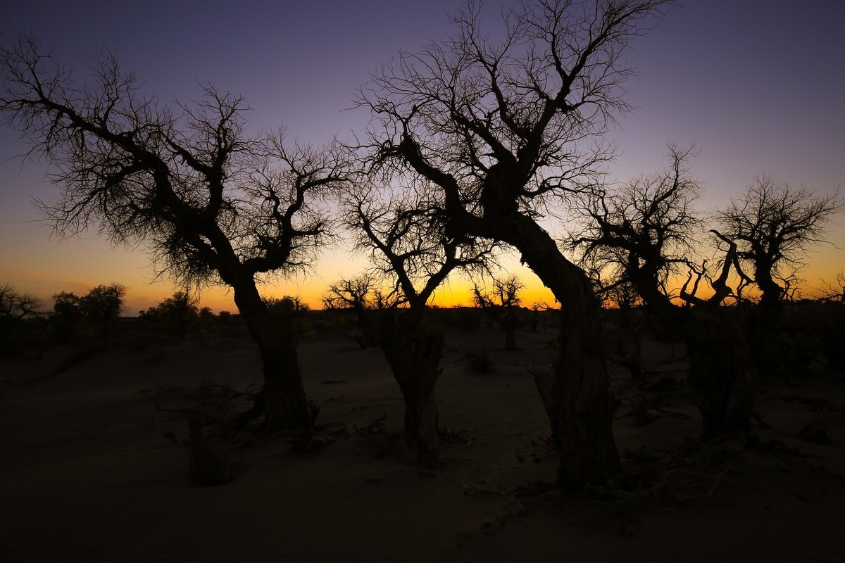 我只是把出去看到的随手记录下来（九十五）