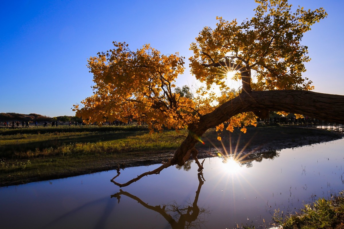 我只是把出去看到的随手记录下来（九十五）
