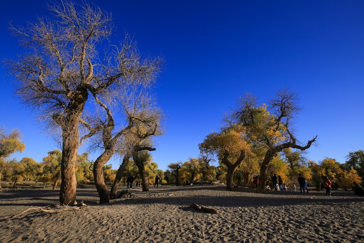 我只是把出去看到的随手记录下来（九十五）
