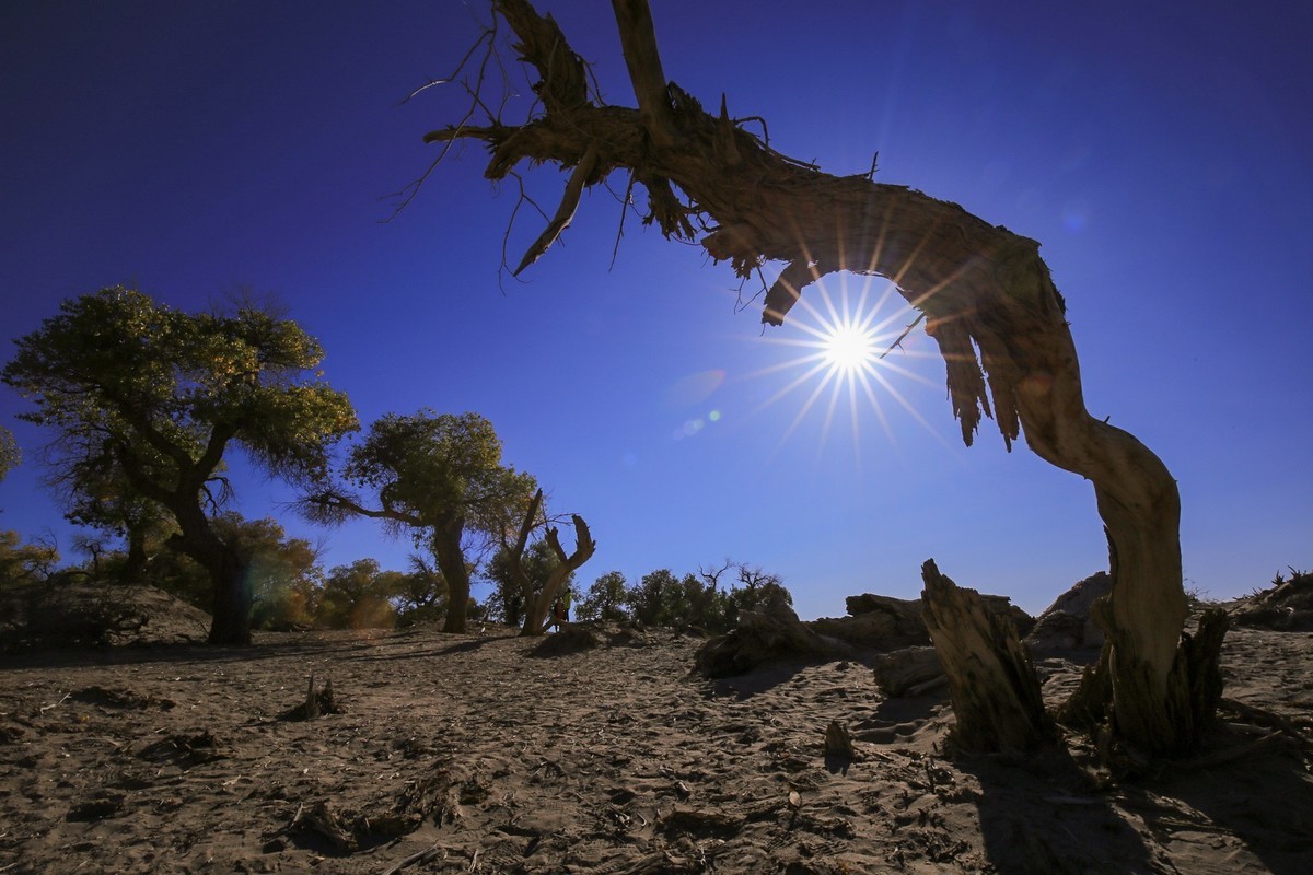 我只是把出去看到的随手记录下来（九十五）