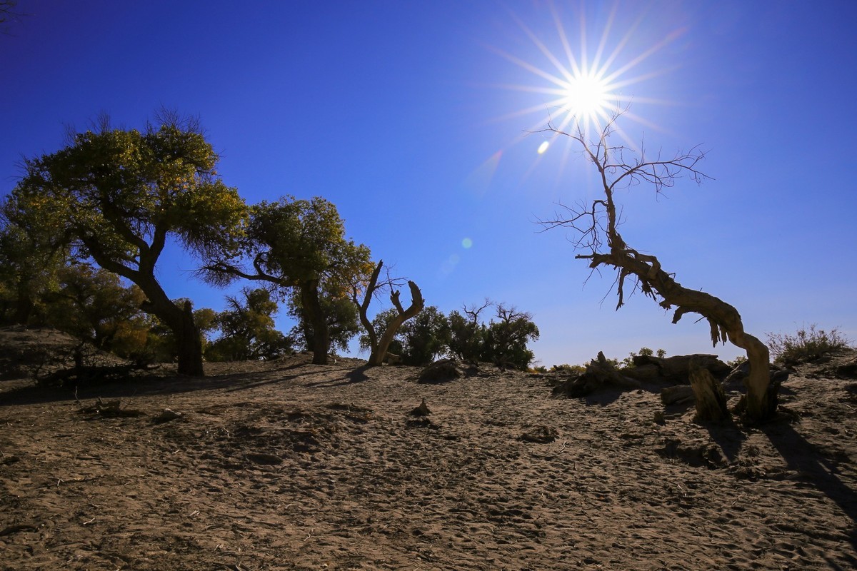 我只是把出去看到的随手记录下来（九十五）