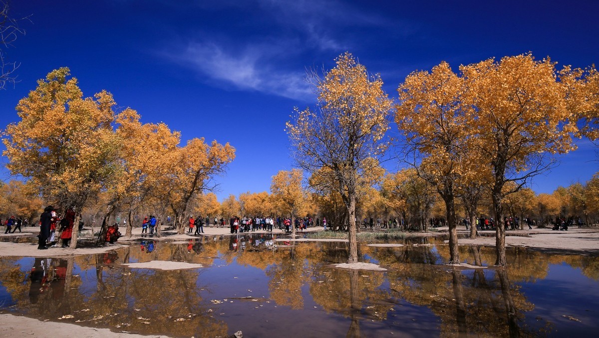 我只是把出去看到的随手记录下来（九十五）