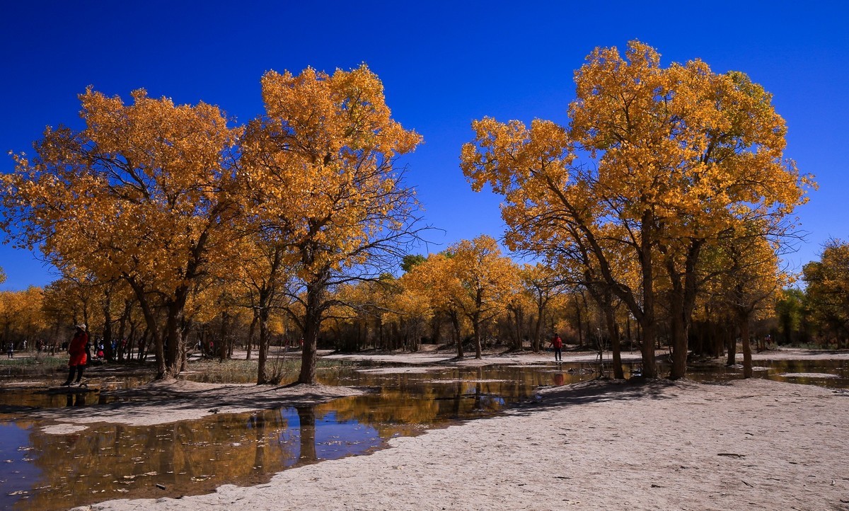 我只是把出去看到的随手记录下来（九十五）