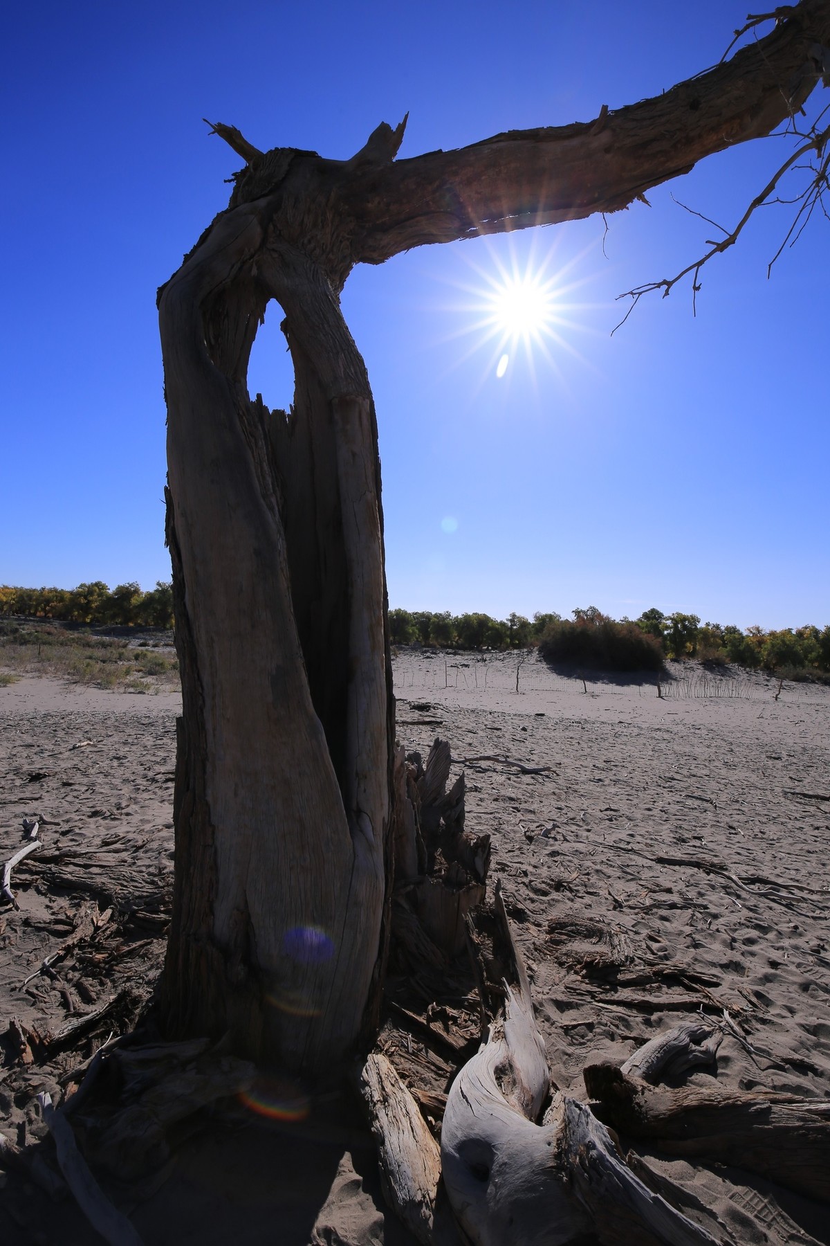 我只是把出去看到的随手记录下来（九十五）