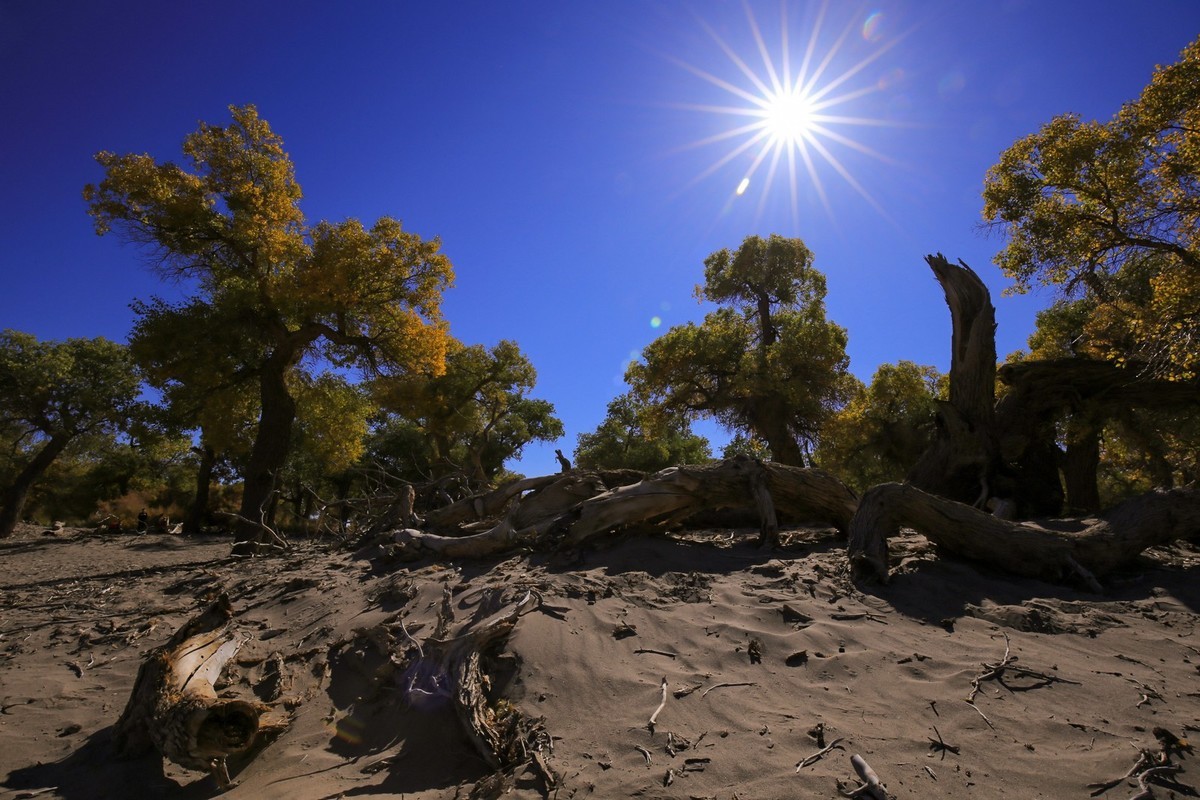 我只是把出去看到的随手记录下来（九十五）