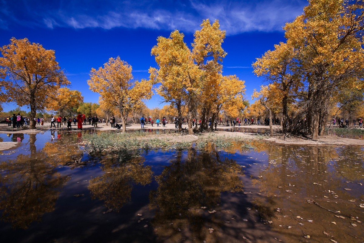 我只是把出去看到的随手记录下来（九十五）