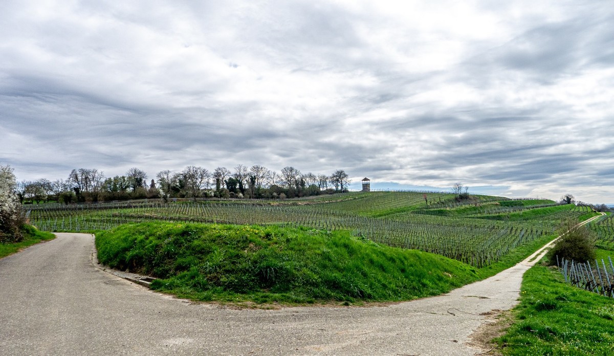 春晓 ：携“徕卡”认证镜头Lx5拜望徕卡本家，祝师友春安！！！