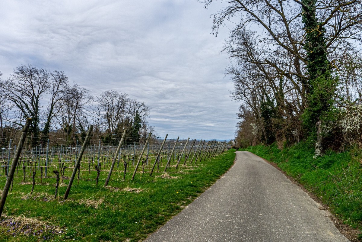 春晓 ：携“徕卡”认证镜头Lx5拜望徕卡本家，祝师友春安！！！