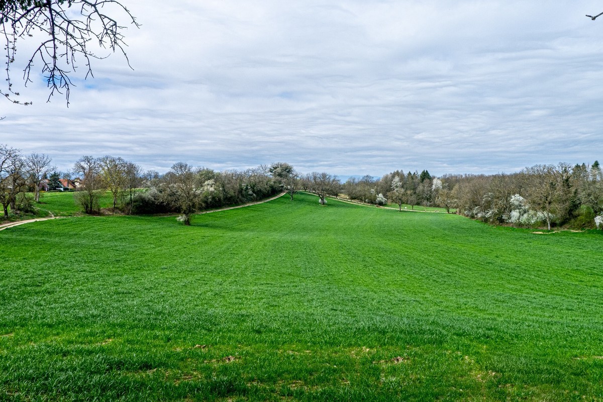 春晓 ：携“徕卡”认证镜头Lx5拜望徕卡本家，祝师友春安！！！