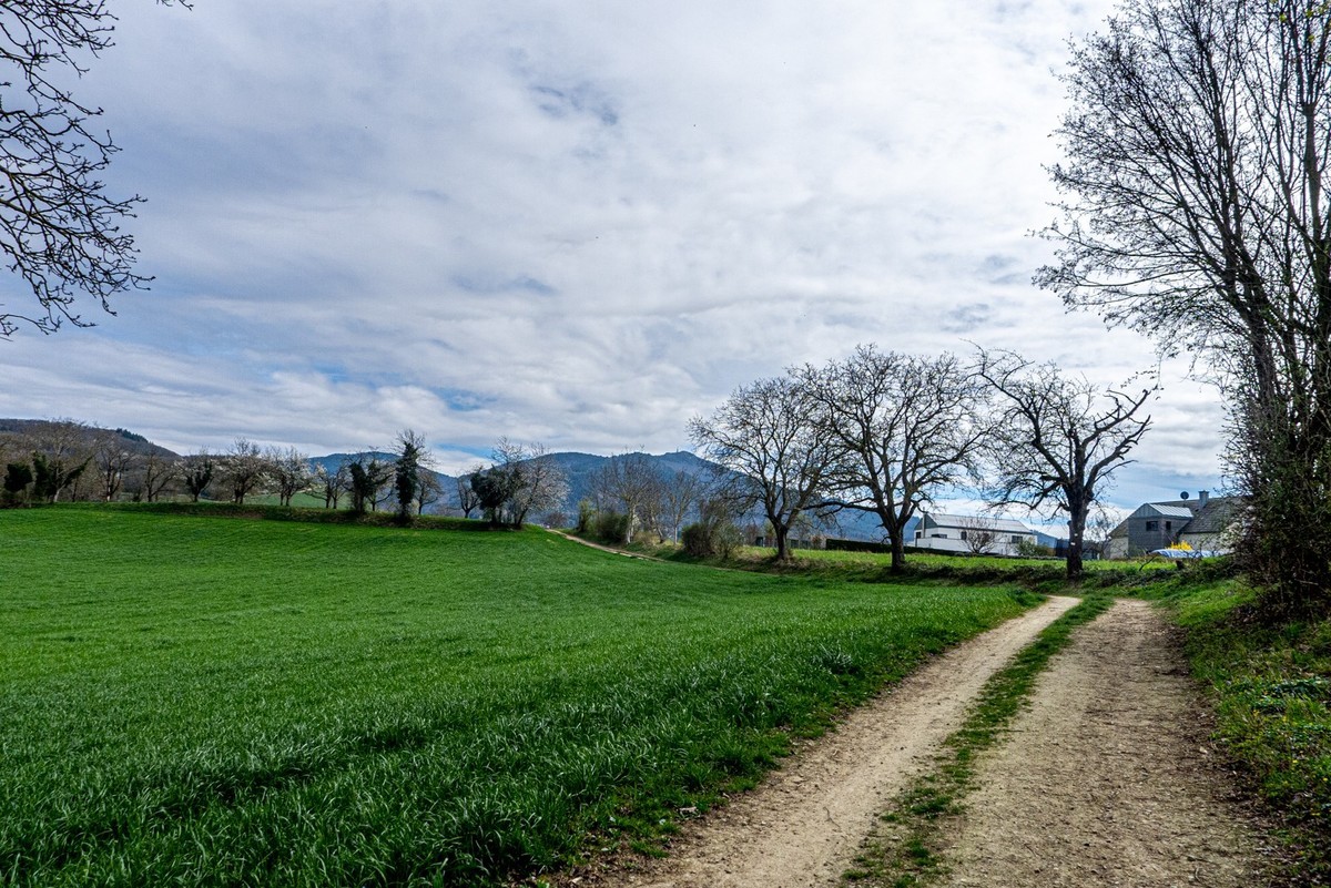 春晓 ：携“徕卡”认证镜头Lx5拜望徕卡本家，祝师友春安！！！