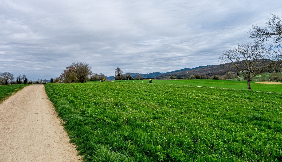 春晓 ：携“徕卡”认证镜头Lx5拜望徕卡本家，祝师友春安！！！