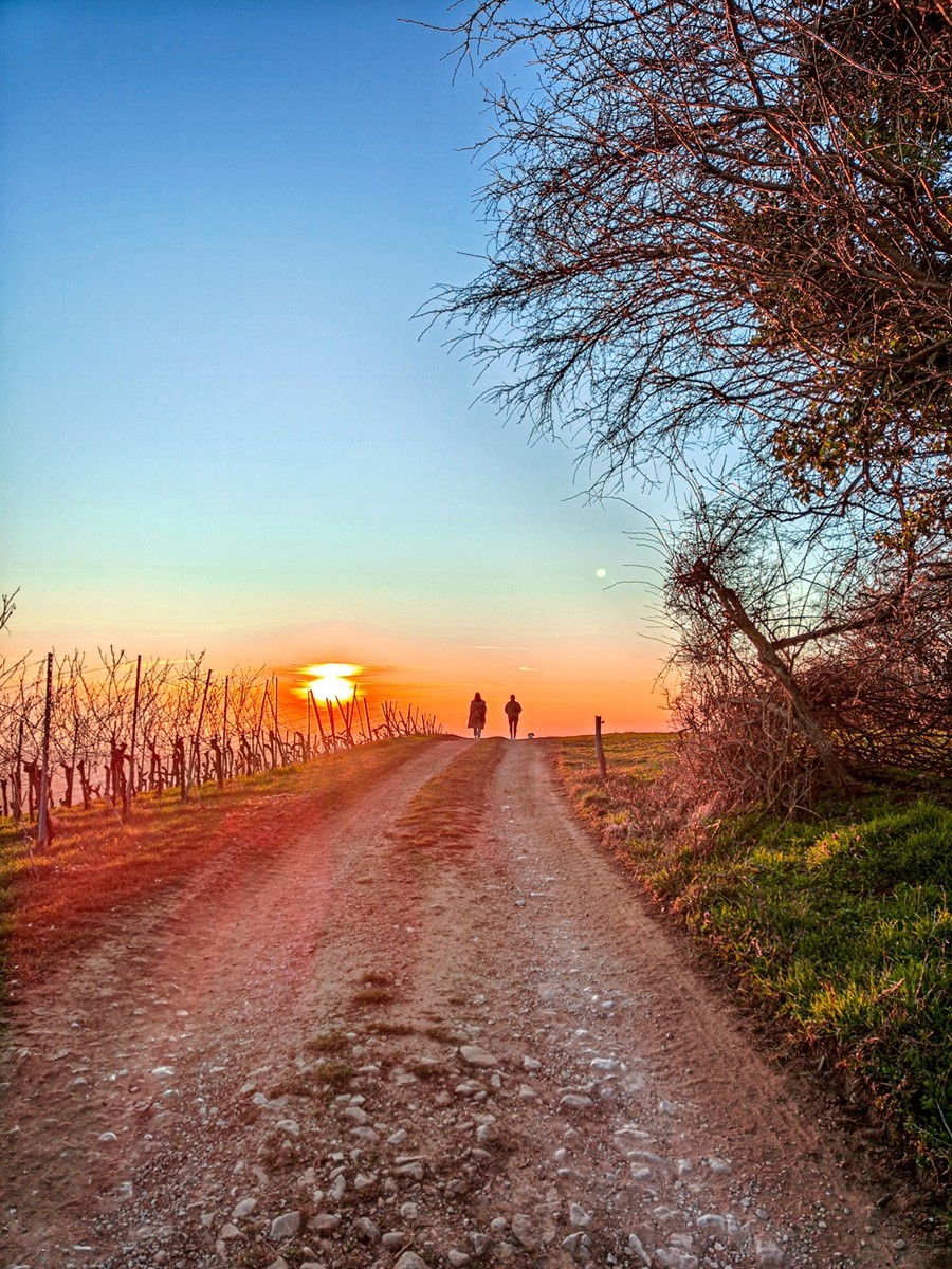 摄景“罗马山”（南德）