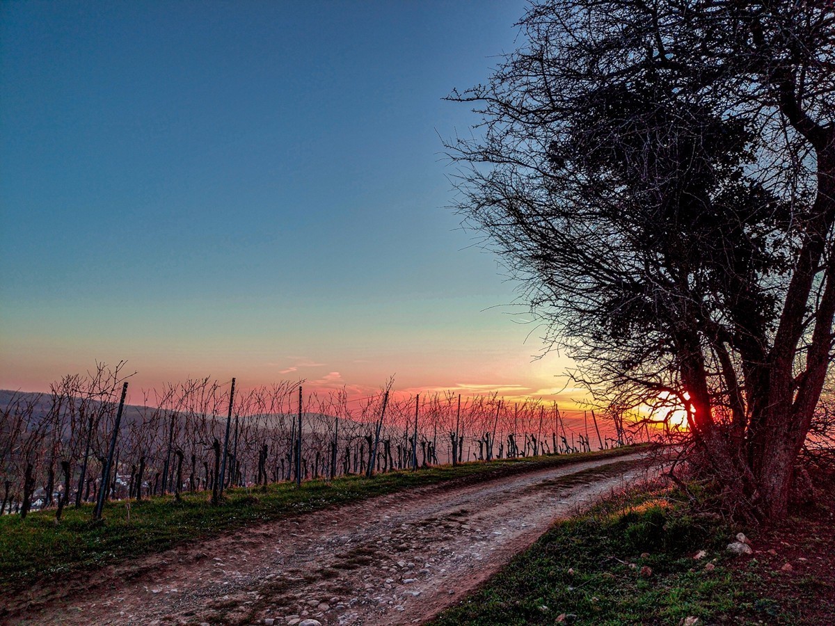摄景“罗马山”（南德）