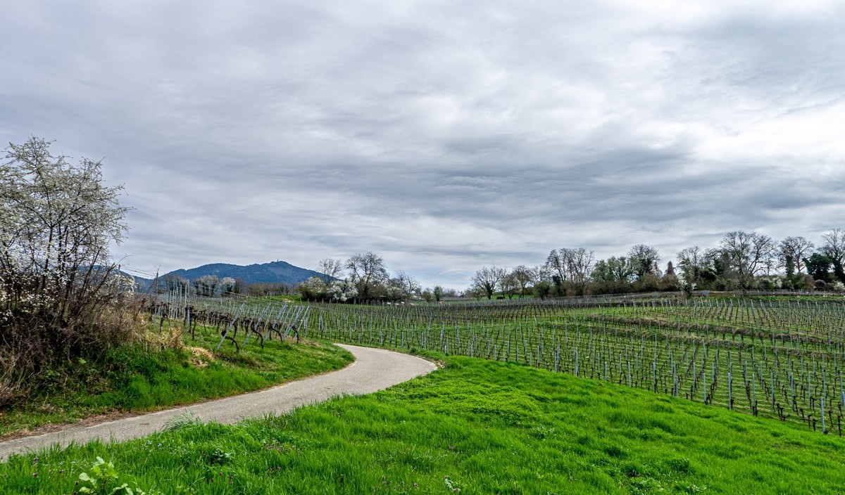 春晓 ：携“徕卡”认证镜头Lx5拜望徕卡本家，祝师友春安！！！